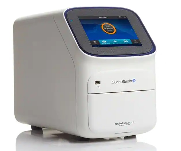 实时荧光定量 PCR